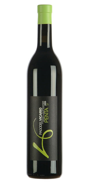 Vino Tinto Pago del Vicario Penta